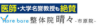 「整体院晴々 市原院」で根本改善へロゴ